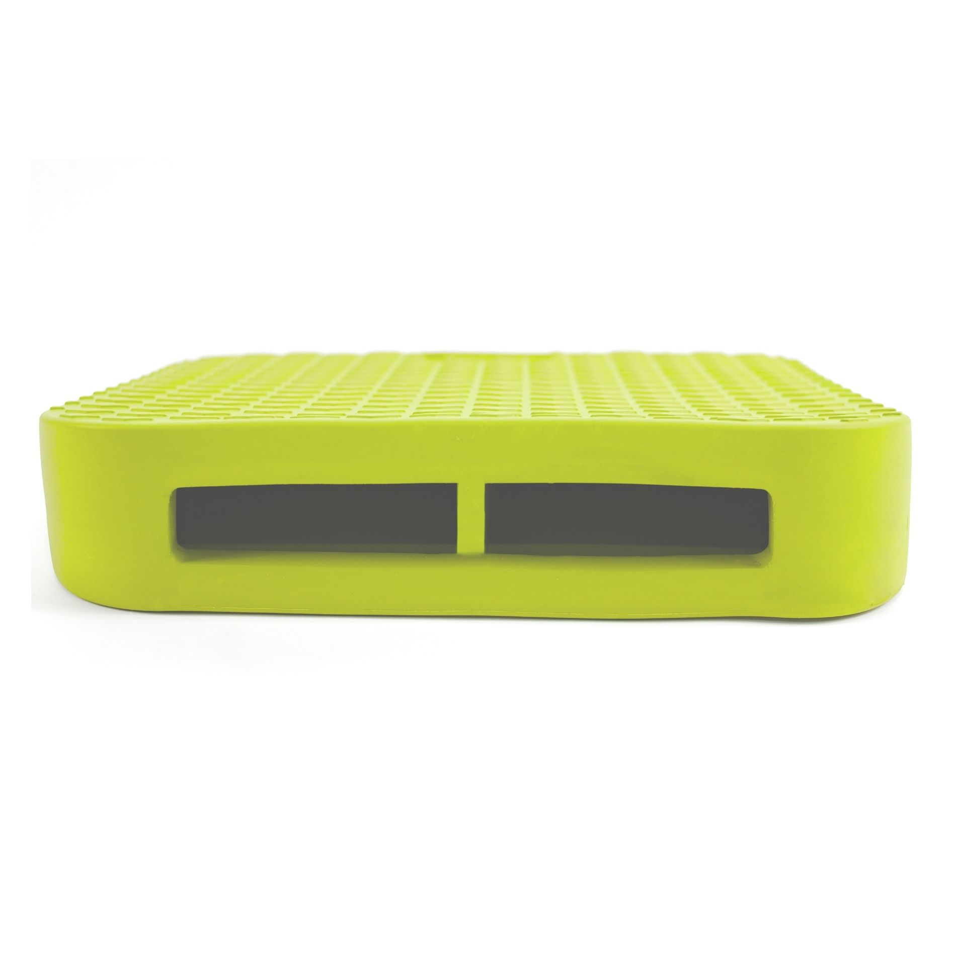 FitPAWS Dog Balance Ramp